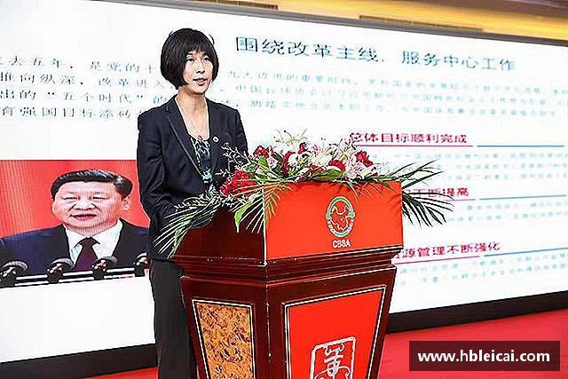 关于B体育官网